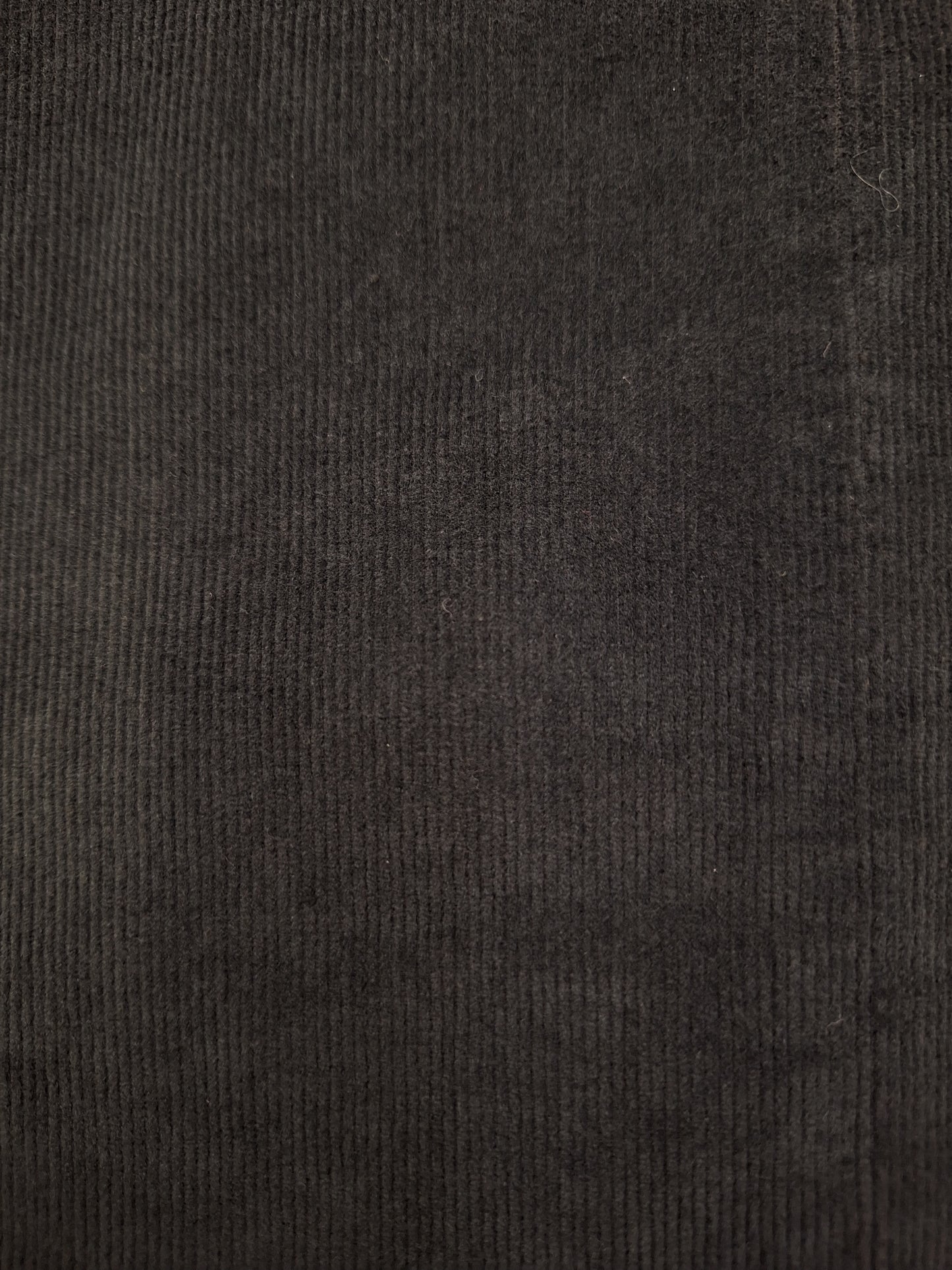 Pantalone Teleria Zed "Elle" Velluto
